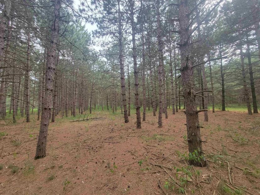 Lots & Land-Other in Arkdale