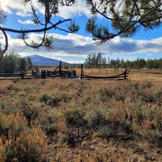 Vacant Land (10+ Acres) in Susanville - Susanville, California, 96130