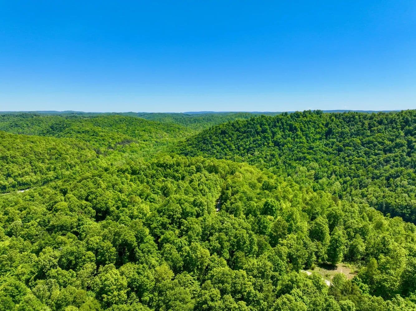 Powell River Retreats | Riverfront, Residential & Investment Properties – Lot 142 - Speedwell, Tennessee, 37870