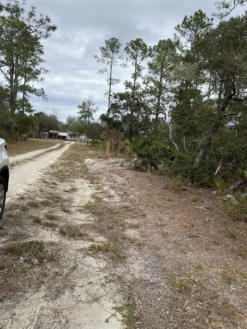 Property from 0 NE 144TH COURT - KW - Fort Mc Coy, Florida, 32134