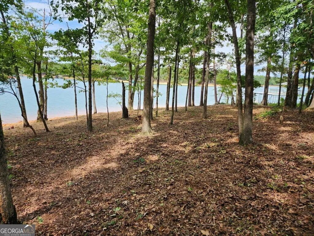Property from LOT 1 Pointe Sidney Drive - KW - Hartwell, Georgia, 30643