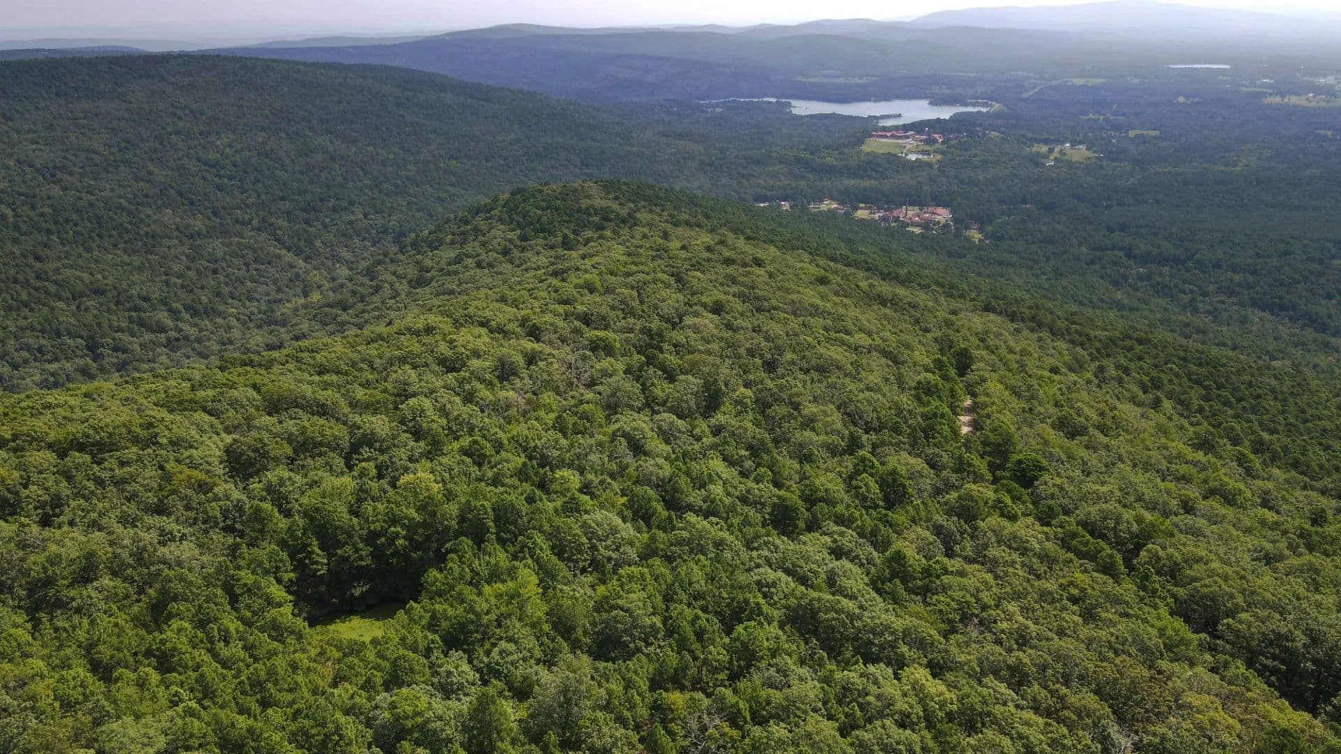 Buffalo Mountain 80 - land for sale