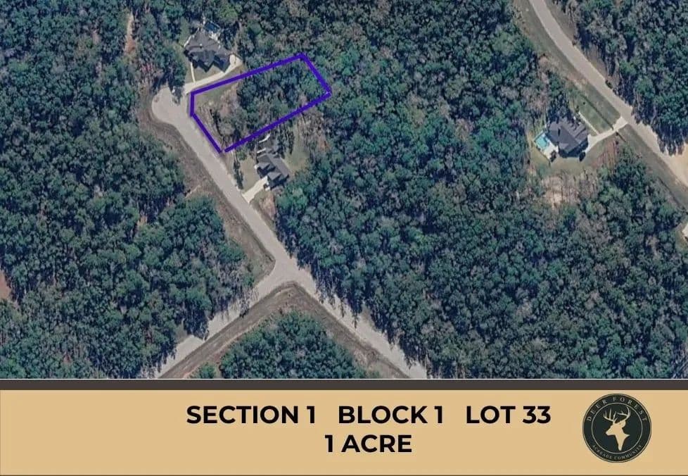 Property from 147 Eagle Run Road - KW - Willis, Texas, 77378
