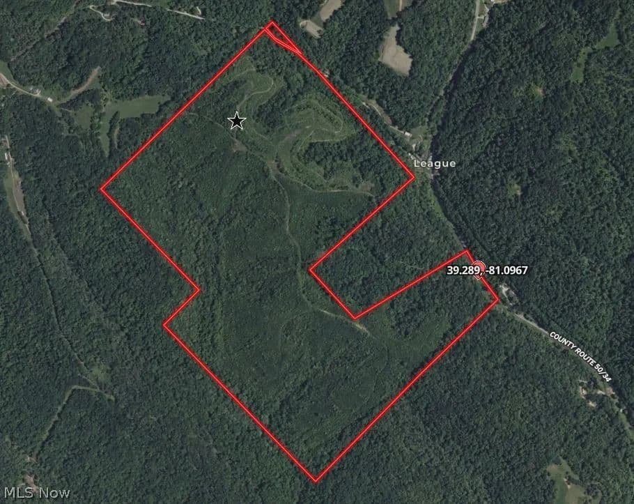 227 Acres of Land for Sale in Ellenboro, West Virginia - Ellenboro, West Virginia, 26337