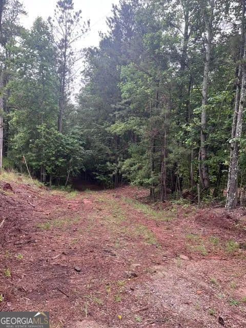 Property from 0 Dobbs Mountain Road - KW - Villa Rica, Georgia, 30180