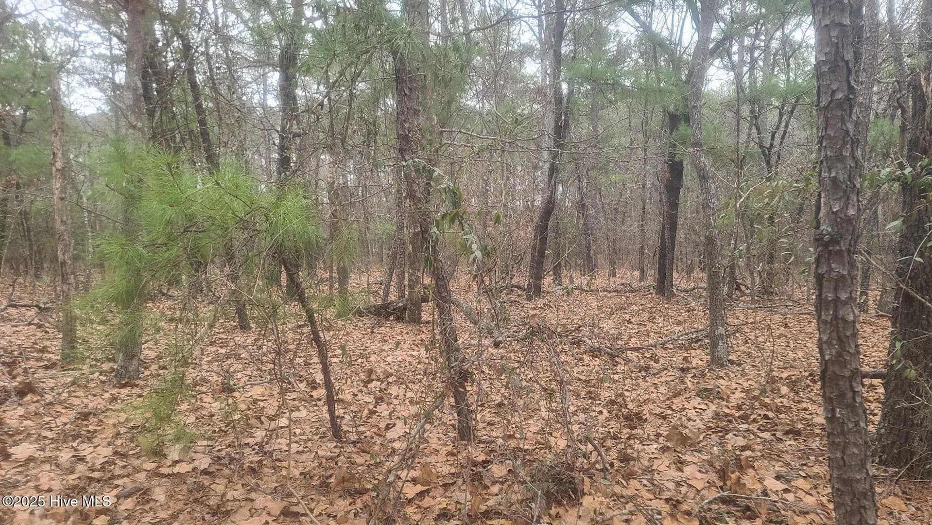Property from Tbd Union Church Road - KW - Carthage, North Carolina, 28327