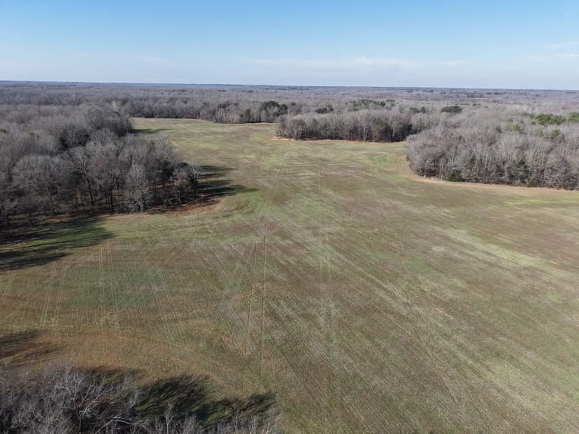 57 Acres in Hardeman County, TN