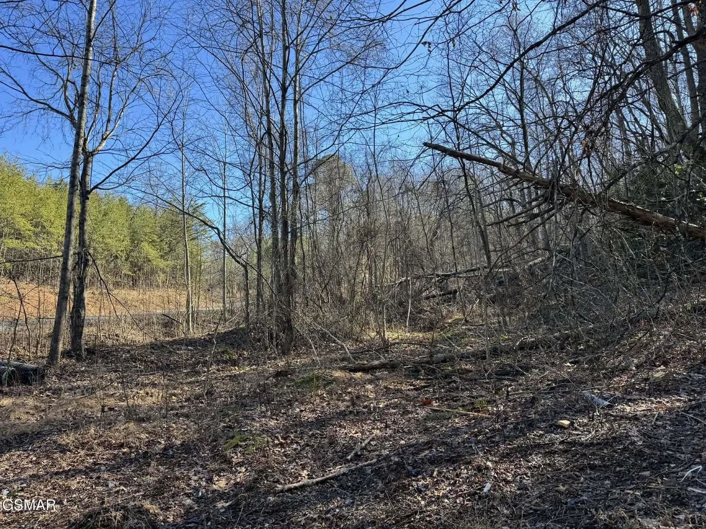Property from Lot 27 Blue Springs Way - KW - Newport, Tennessee, 37821
