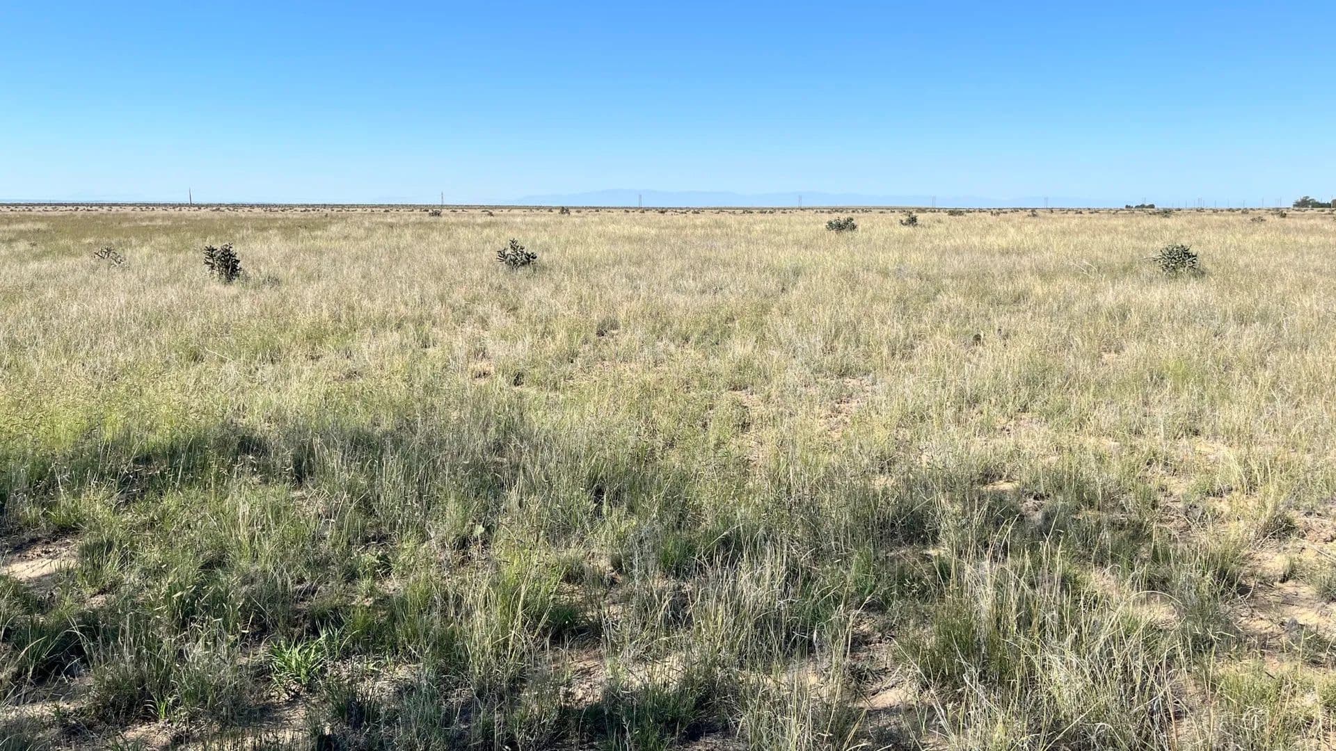 Boone CRP - land for sale