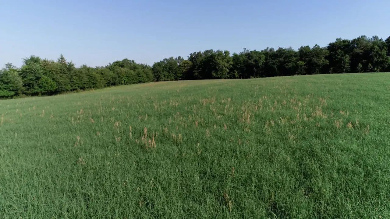 2631 Charlie Johnson Rd - Bethune, South Carolina, 29067