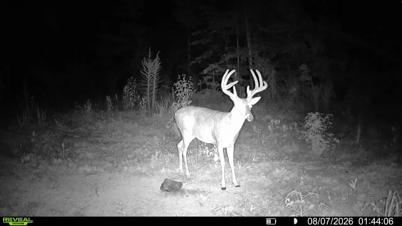 The Perry 50! Hunting, Outdoors, Rural Homesite! - Linden, Tennessee, 37096