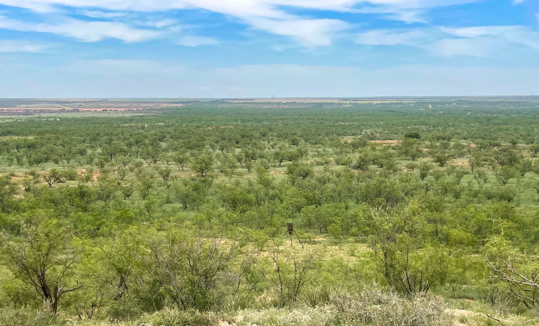 GP Ranch - Snyder, Texas, 79549
