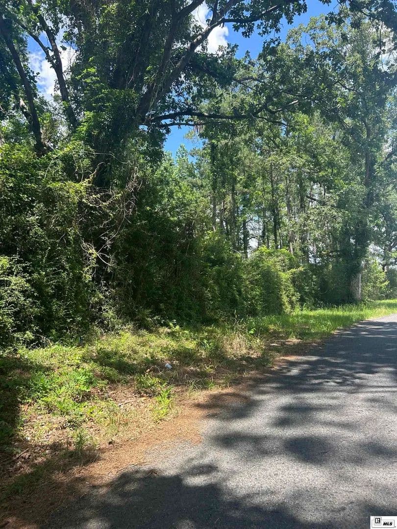 Property from 0 DANVILLE ROAD - KW - Jonesboro, Louisiana, 71251
