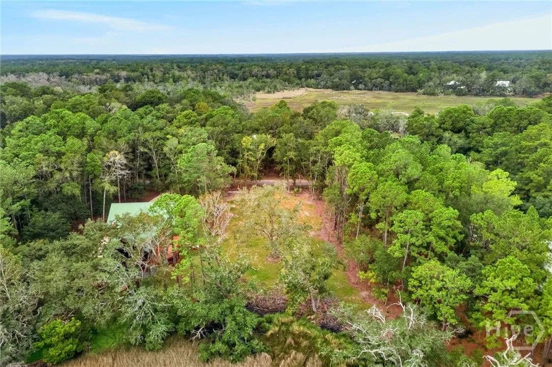 Lots & Land-Other in Townsend - Townsend, Georgia, 31331