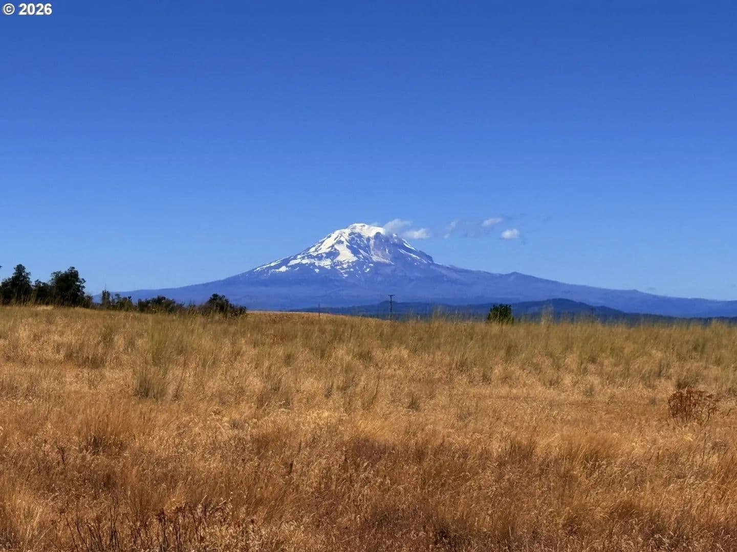 Lots & Land-Other in Centerville - Centerville, Washington, 98613