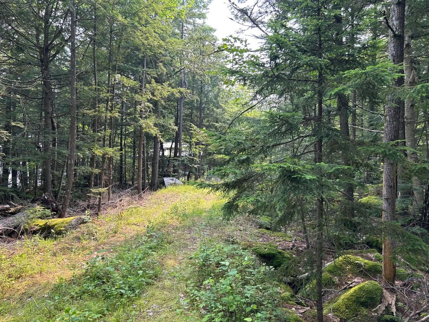 3.5 Acres of Land for Sale in Rome, Maine - Rome, Maine, 04963