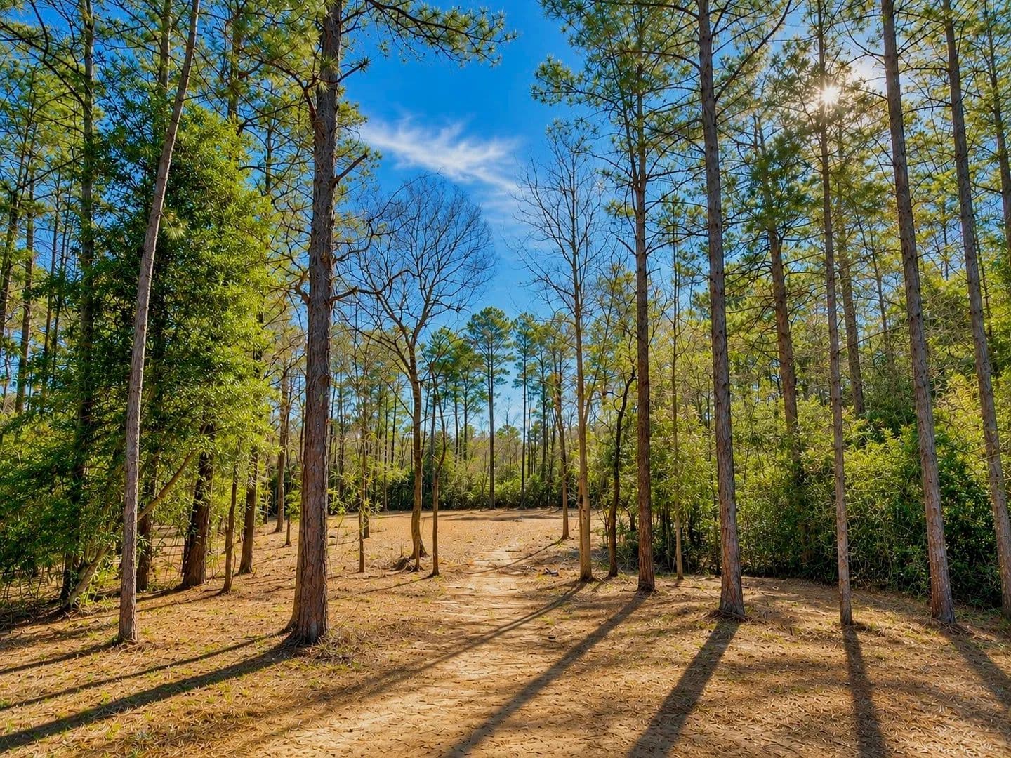 Property from 17819 Indigo Hills Drive - KW - Magnolia, Texas, 77355