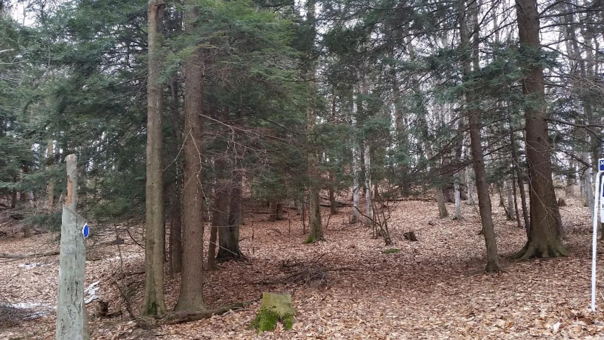 Property from S Sable Pointe Drive - KW - Shelby, Michigan, 49455
