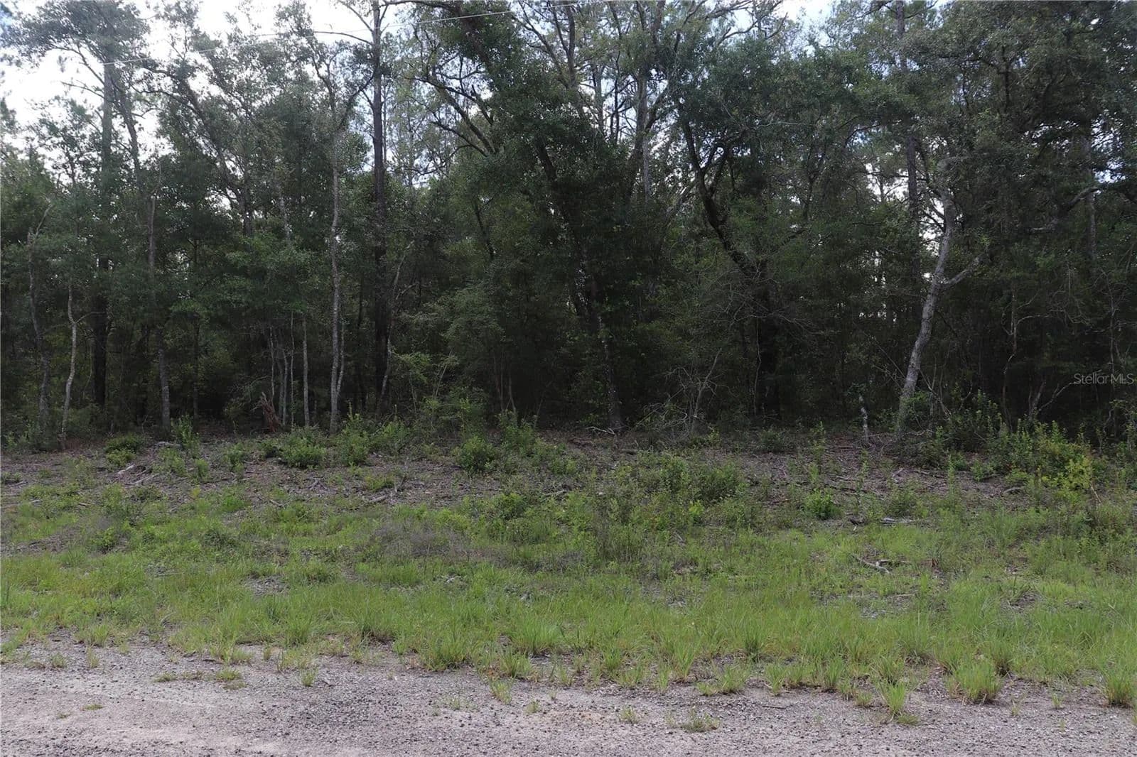 Property from 653 VERCELLI LANE - KW - Dunnellon, Florida, 34434