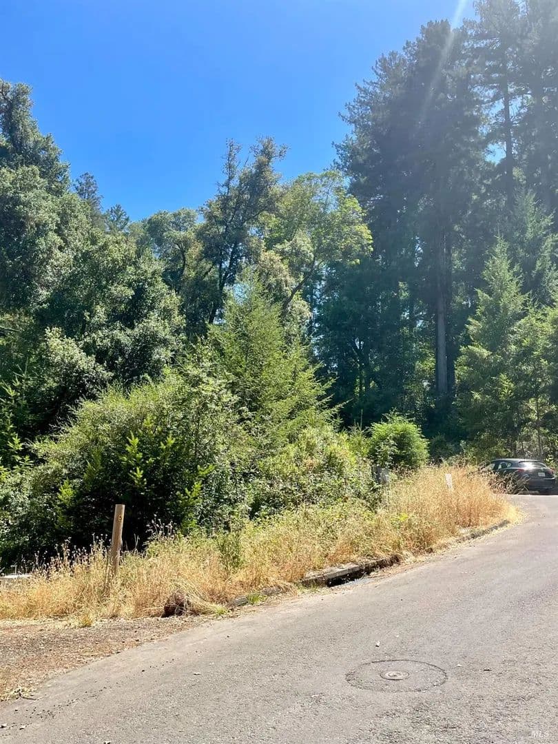 Vacant Land in San Geronimo - San Geronimo, California, 94963