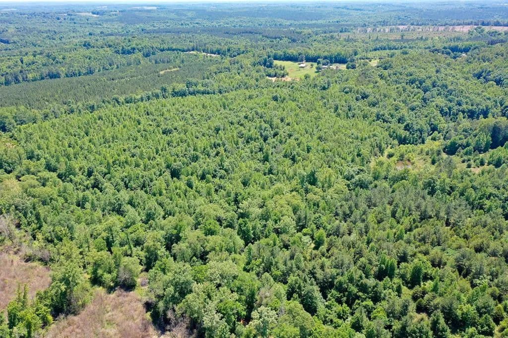 Property from Birch Elmo Road - KW - South Boston, Virginia, 24592
