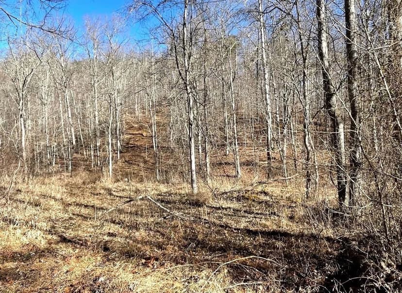 Lots & Land-Other in Wayne