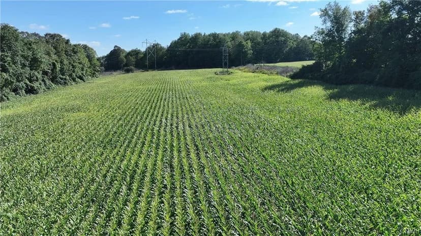 Lots & Land-Other in Syracuse