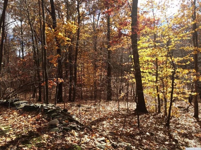 Vacant Land in Copake