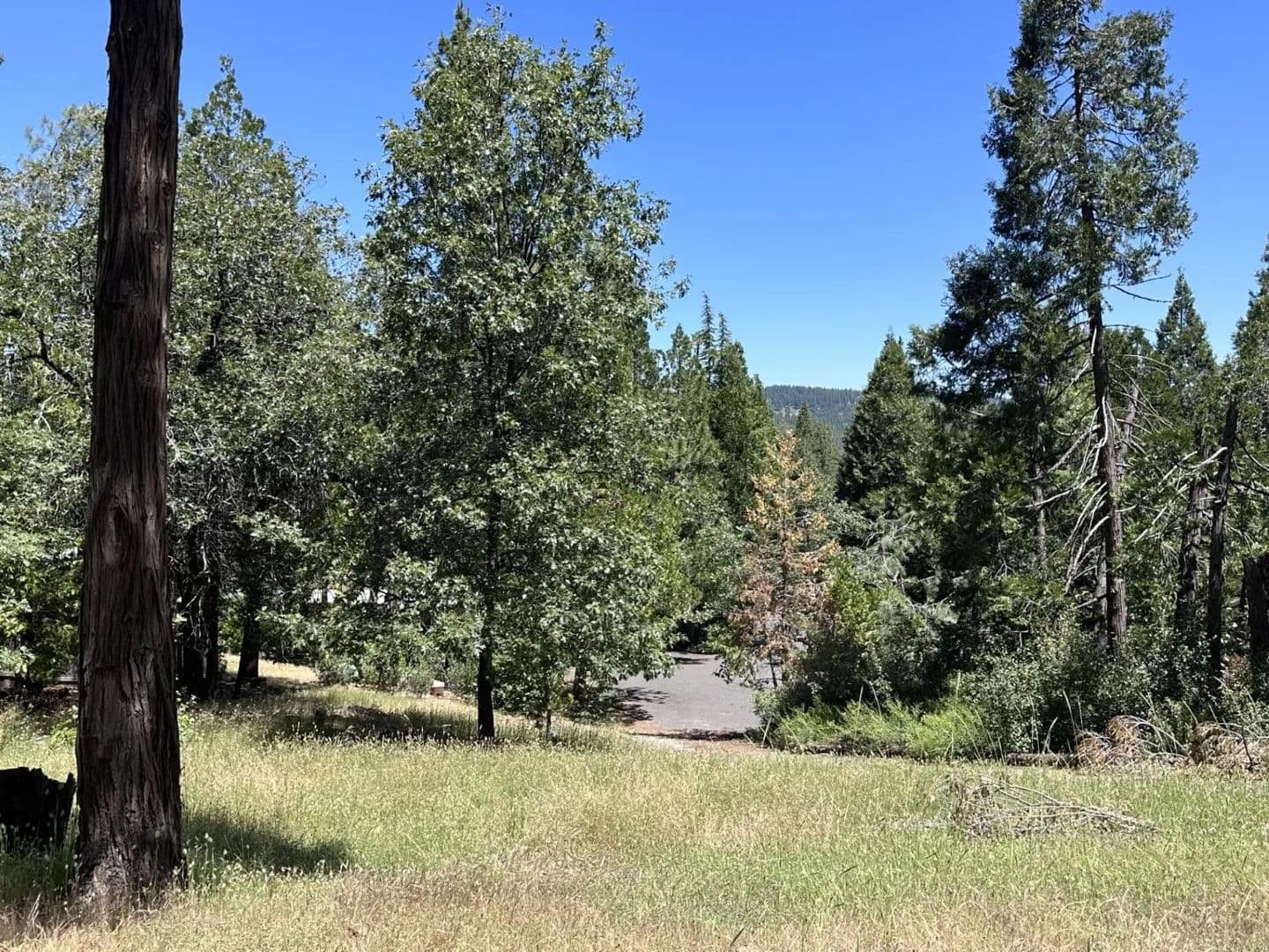 Property from 3720 Cedar Vista - KW - Murphys, California, 95247