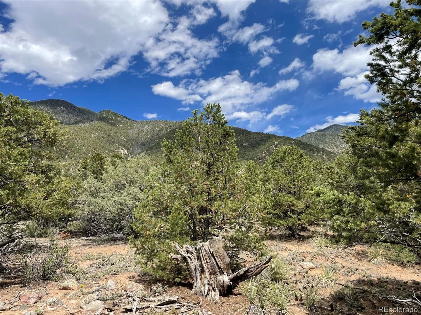 Property from 4286 Fallen Tree - KW - Crestone, Colorado, 81131