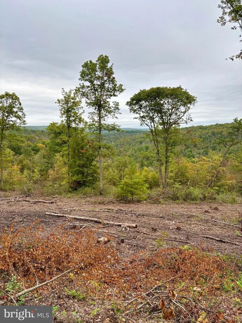 Property from 31-36 BEECH CREEK MOUNTAIN RD ROAD - KW