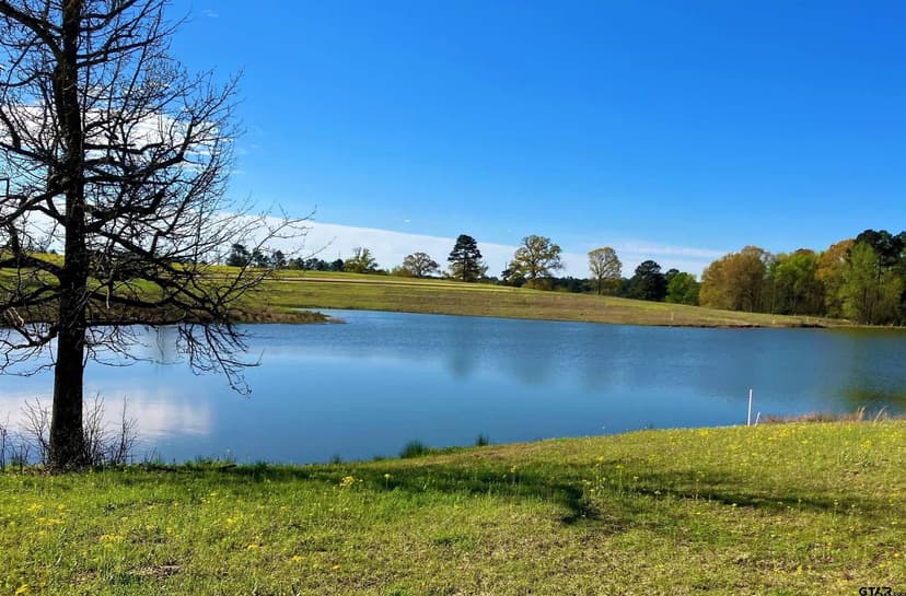 Lots & Land-Other in Big Sandy