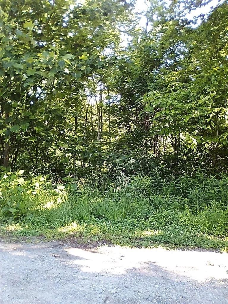 Property from tbd N 321 Highway - KW - Sugar Grove, North Carolina, 28679