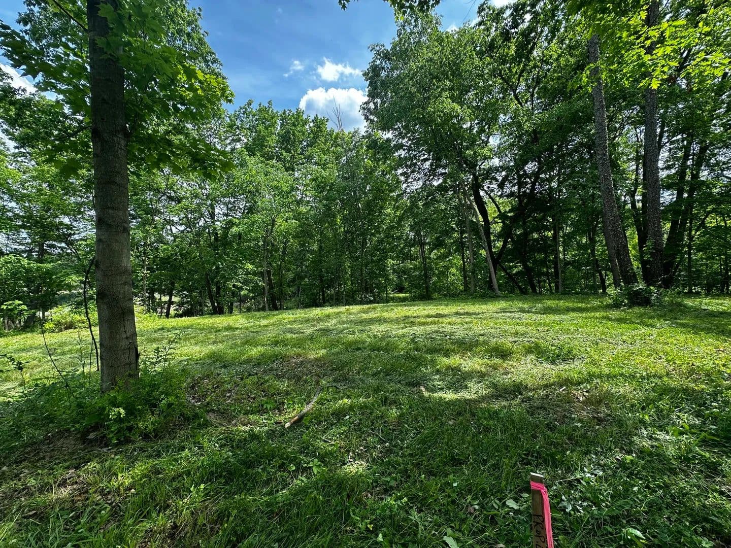 Property from V/L S Norris Road - KW - Delton, Michigan, 49046