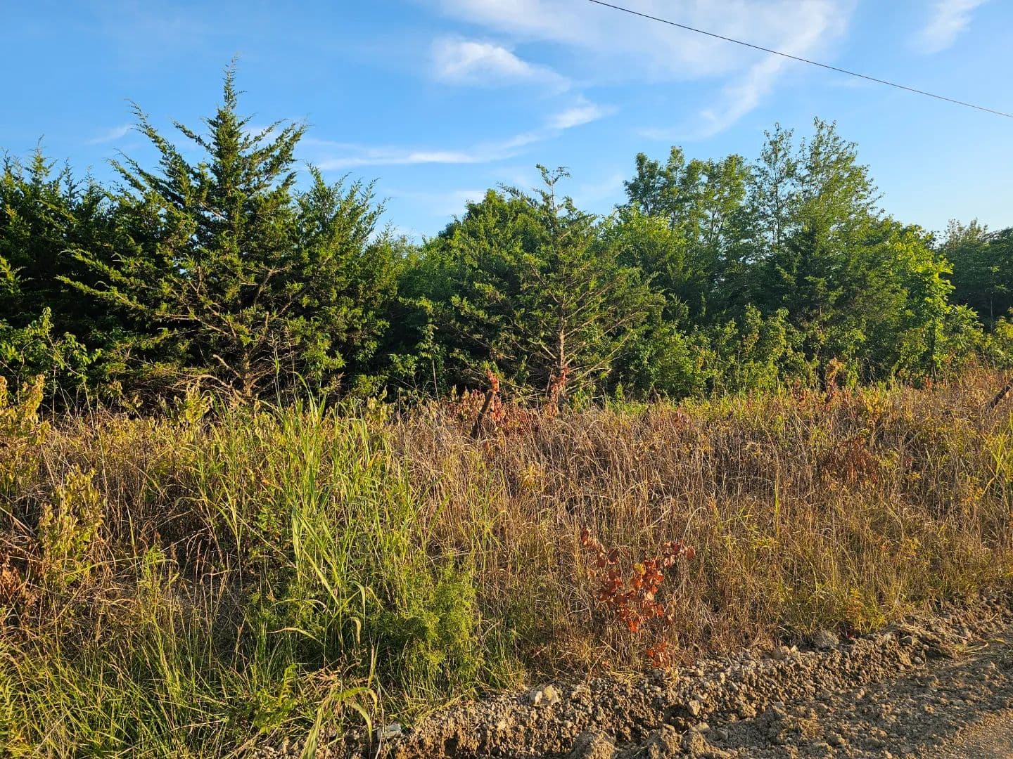 Rural Residential Build Site for Mobile Home or Stick-Built House in Terlton - Terlton, Oklahoma, 74081