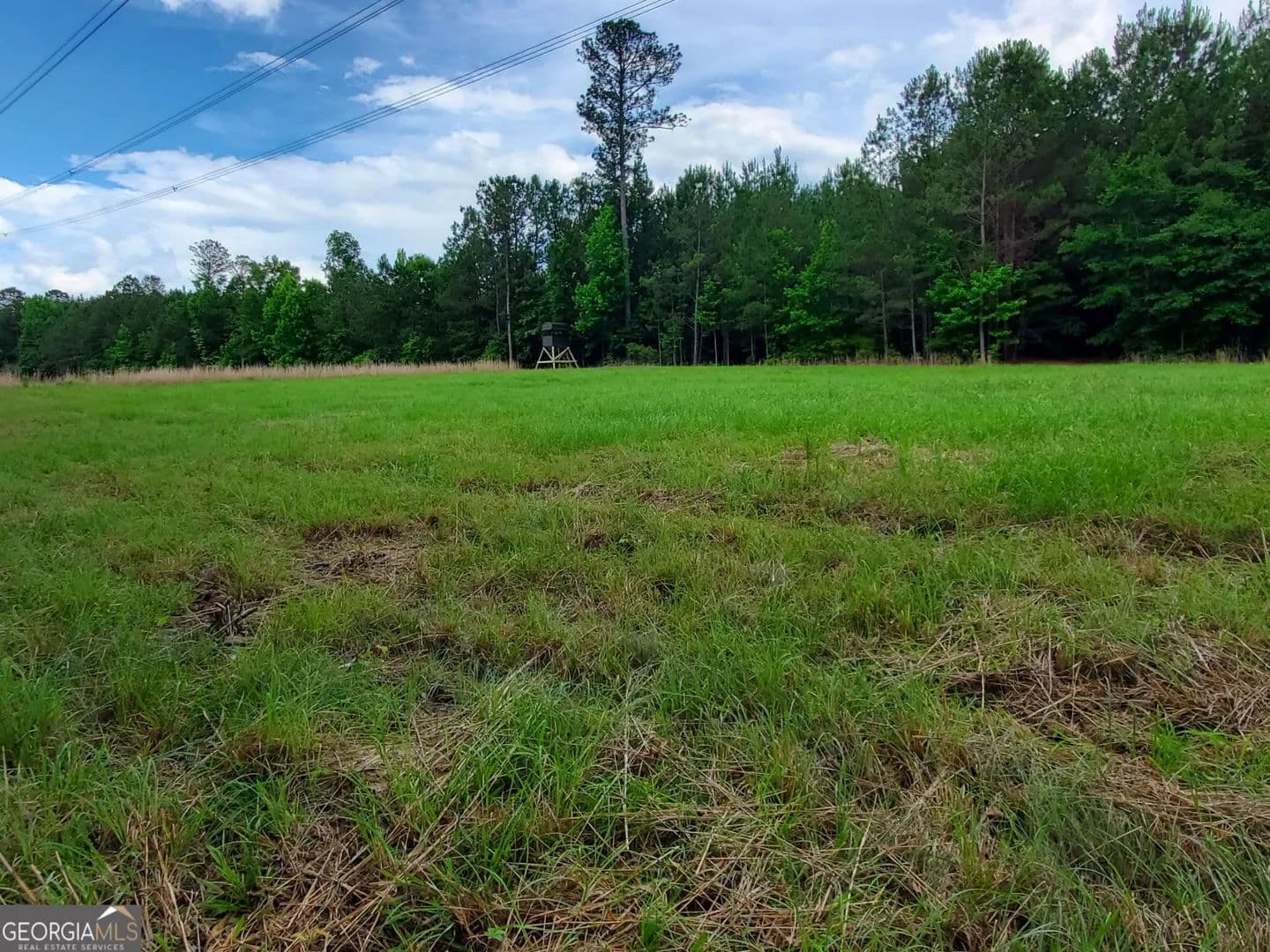 Property from 1 Roy Lawrence Road - KW - Sparta, Georgia, 31087