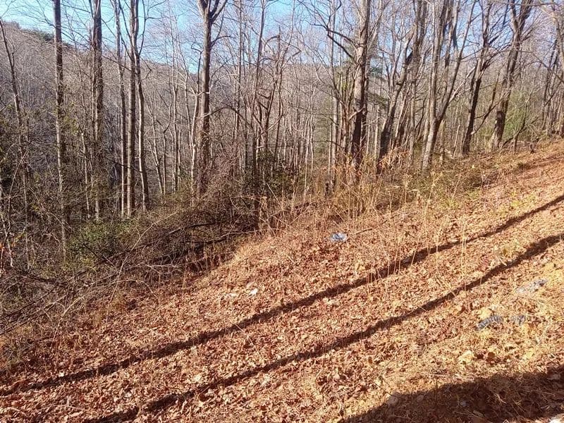 Vacant Land in Deep Gap