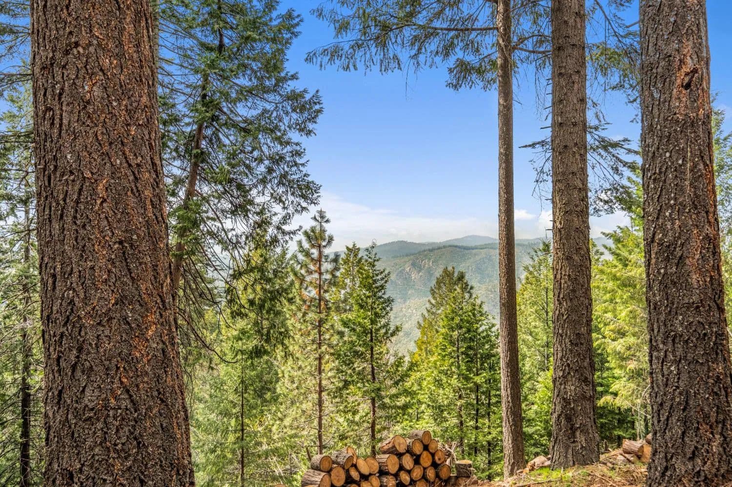 Property from 301 Camelot Way - KW - Pollock Pines, California, 95726