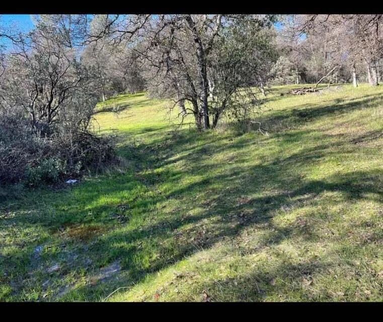 Lots & Land-Other in Redding