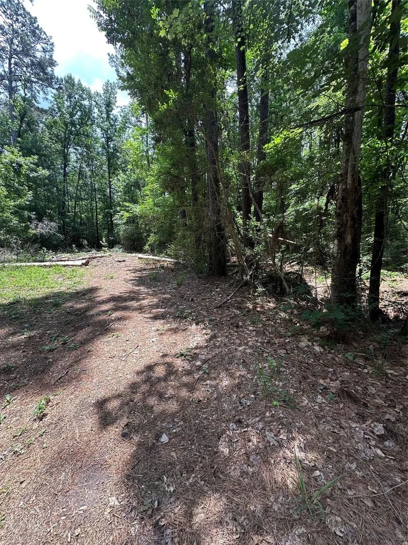 Vacant Land in Conroe - Conroe, Texas, 77303