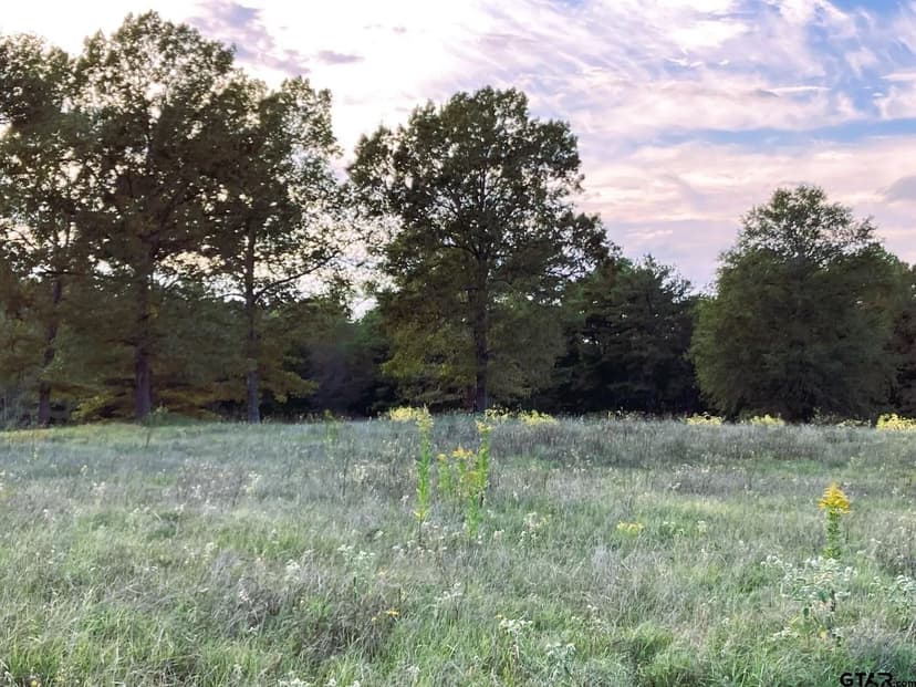 Lots & Land-Other in Big Sandy