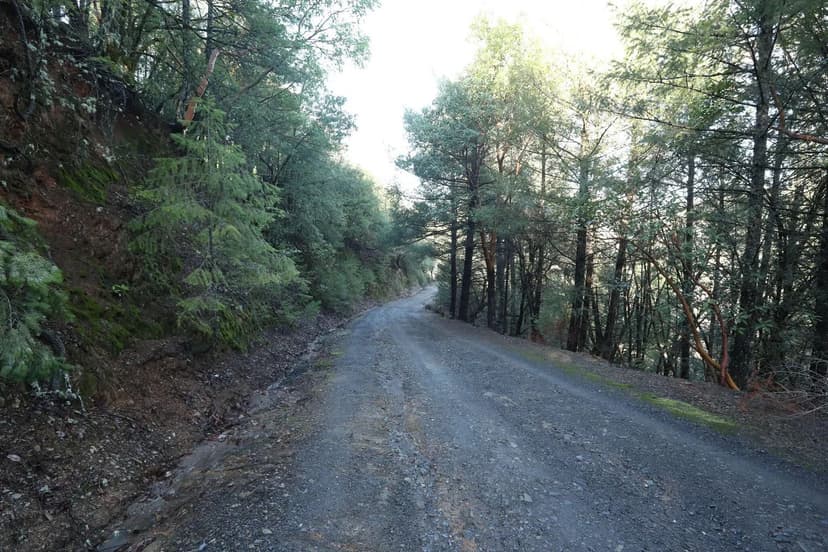 Lots & Land-Other in Oak Run