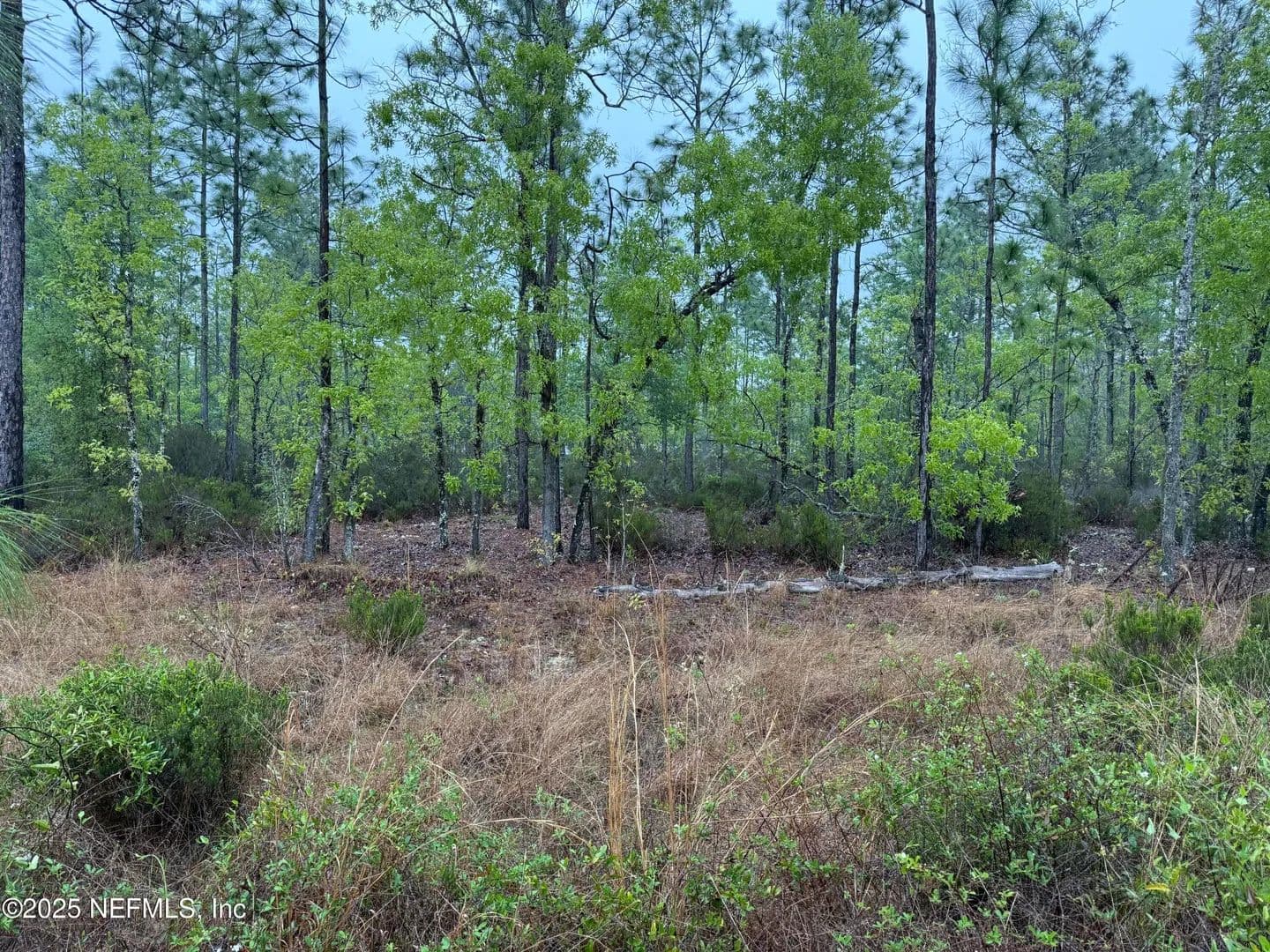 Property from 0 LOTS 32 + 33 - KW - Interlachen, Florida, 32148