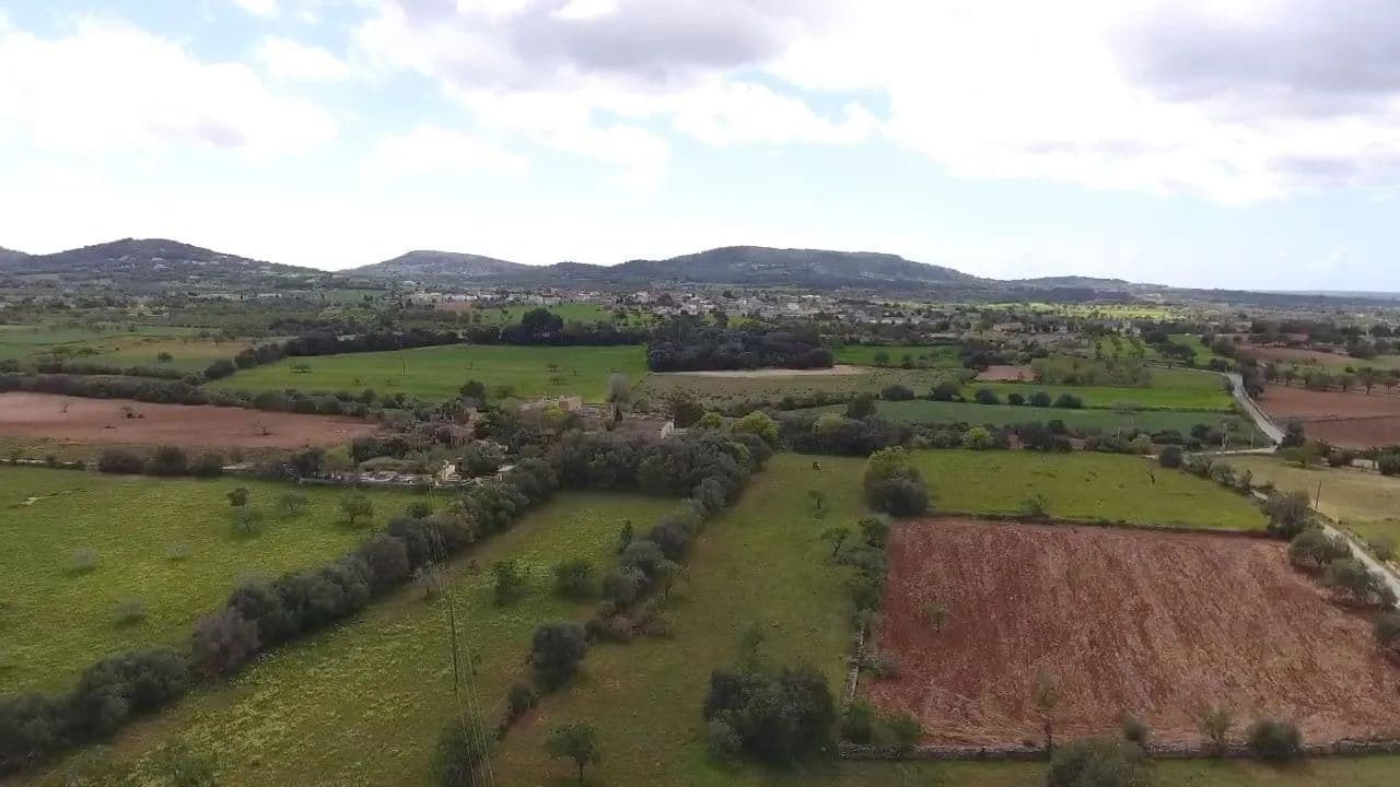 Land for Sale in Felanitx, 61 - land for sale