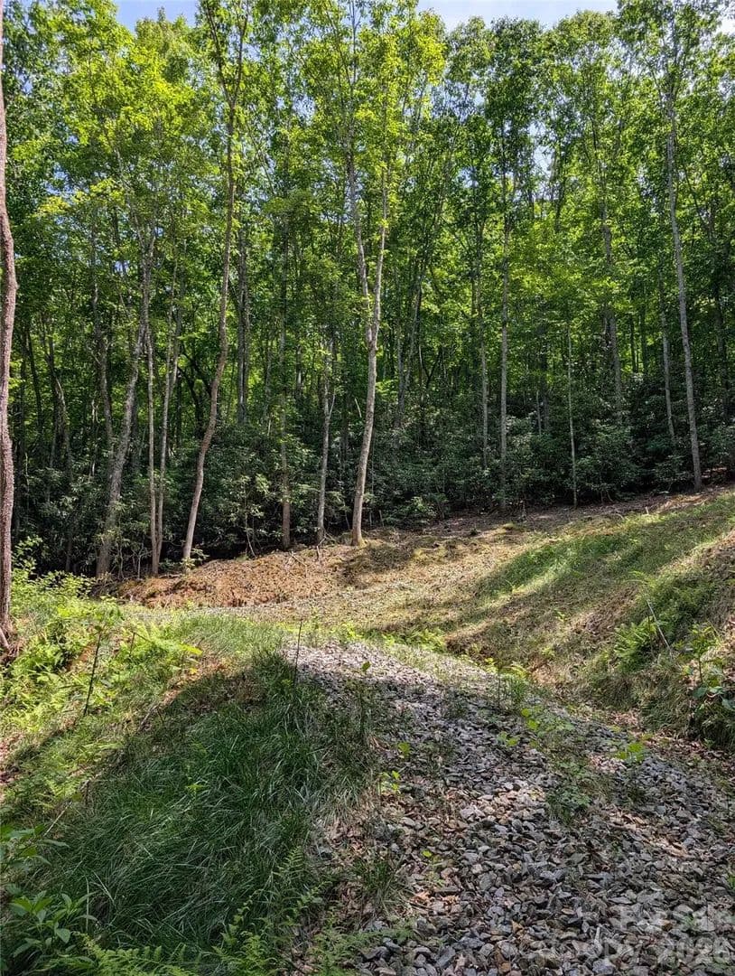 Property from 000 Pisgah Highway - KW - Candler, North Carolina, 28715