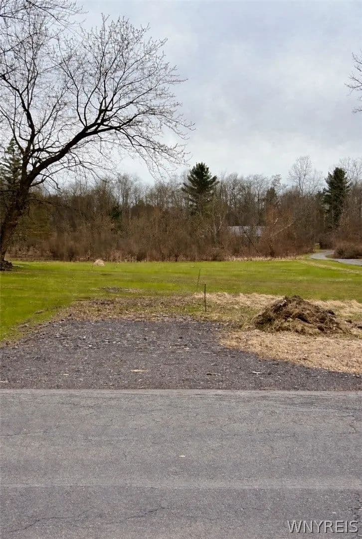 Lots & Land-Other in Orchard Park - Orchard Park, New York, 14127