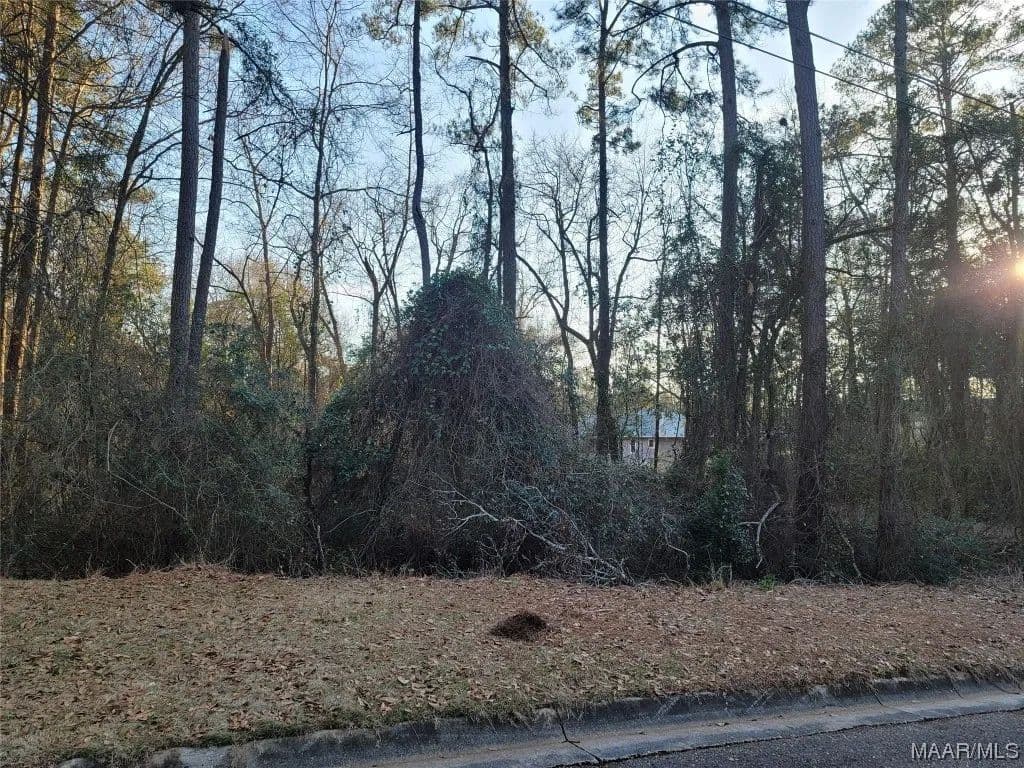 Vacant Land in Enterprise - Enterprise, Alabama, 36330