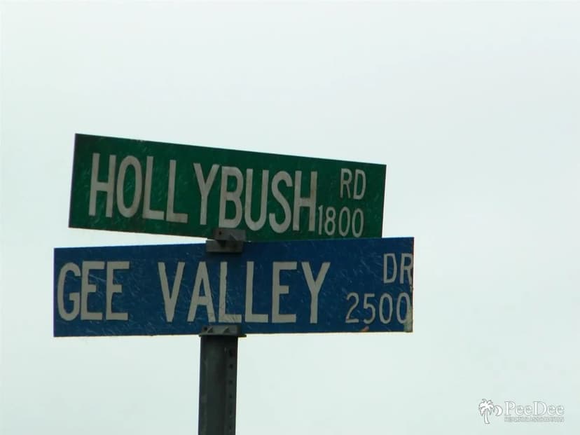 Lots & Land-Other in Timmonsville