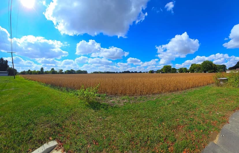 Property from 0 Lynne Avenue - KW