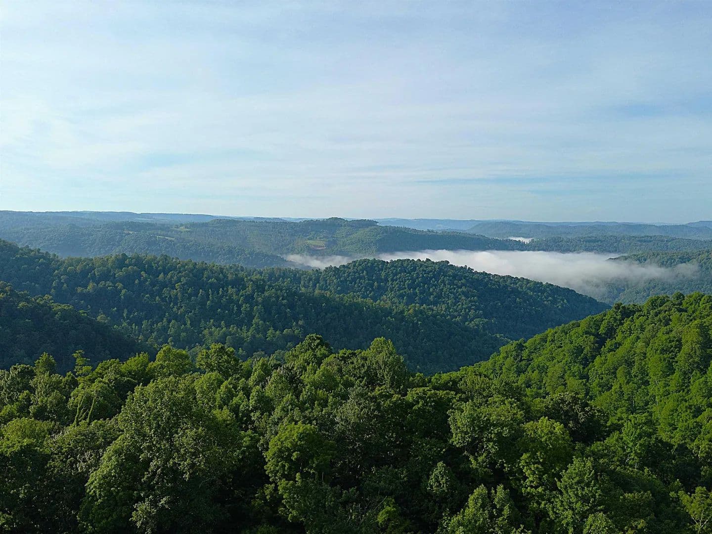 Property from TBD Calvert Shaver Road - KW - Rowlesburg, West Virginia, 26425